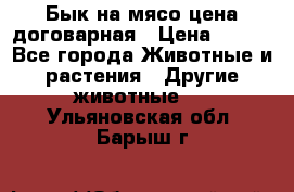 Бык на мясо цена договарная › Цена ­ 300 - Все города Животные и растения » Другие животные   . Ульяновская обл.,Барыш г.